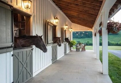 Our Custom Build - Perfect Country Retreat - 4 Bedroom Home with Quick Financing on 5 Acres